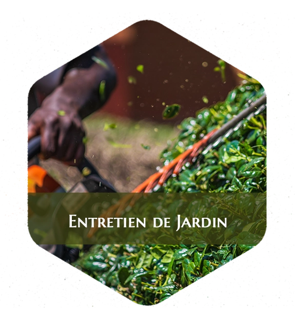 Entretien de jardin à Avallon et Saulieu